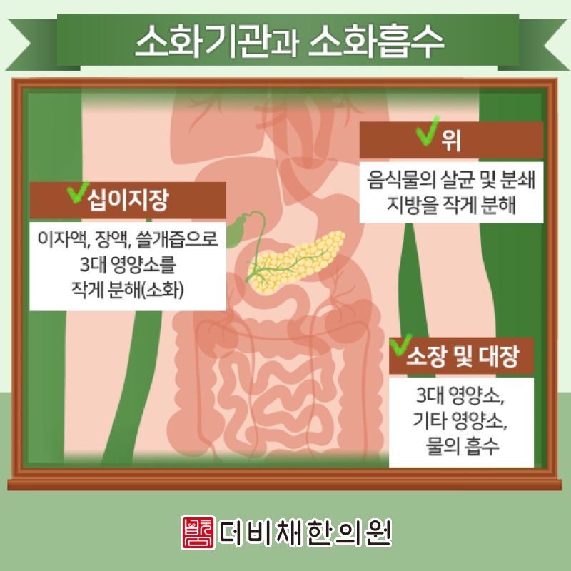 기능성소화불량, 식사 뒤 더부룩함이 이어지는 까닭