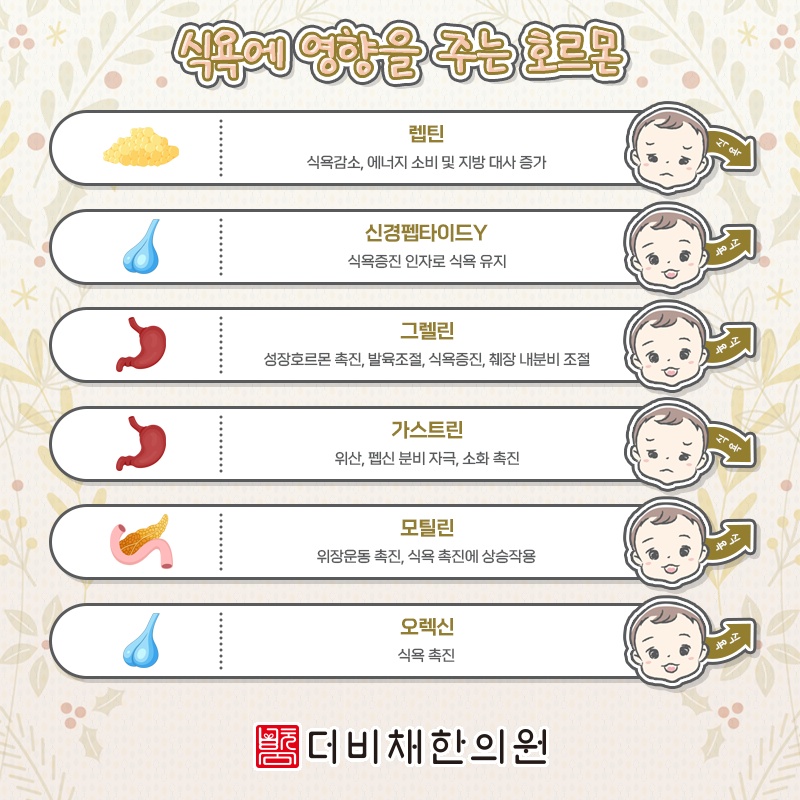 식욕부진이 계속된다면 함께 살펴볼 건강 문제