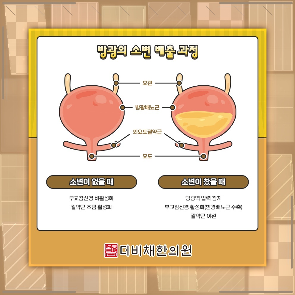 연령대가 높아질수록 늘어나는 요실금과 배뇨 불편