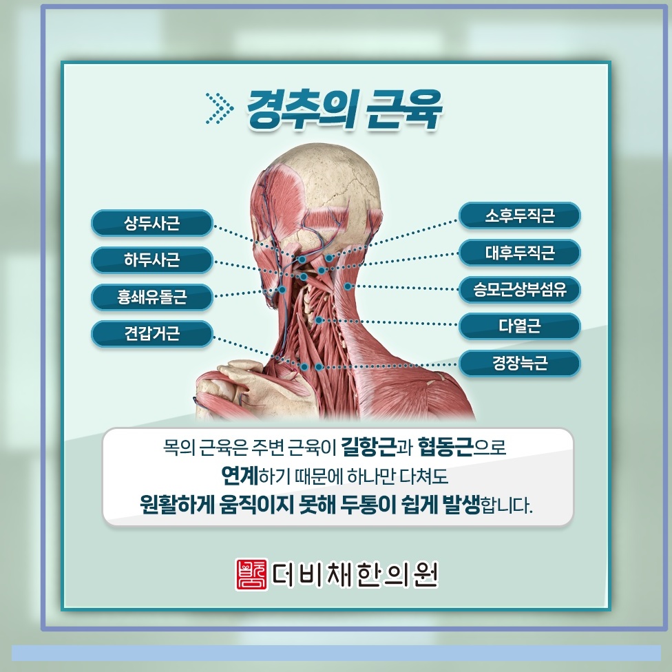 목과 어깨 불편감을 동반하는 경추성두통의 양상