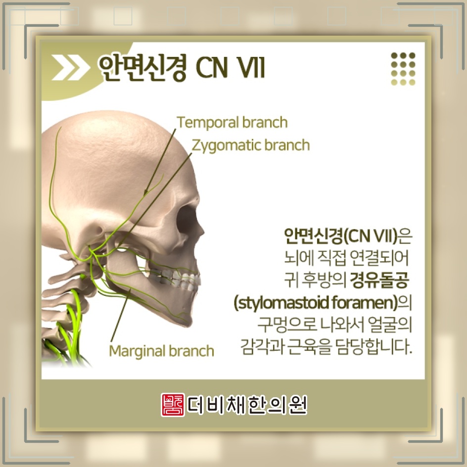 안면신경마비 초기에 살펴야 할 대응과 회복 과정