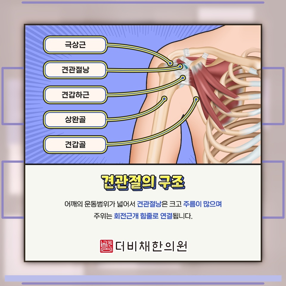오십견으로 인한 어깨 통증과 움직임 제한 살펴보기